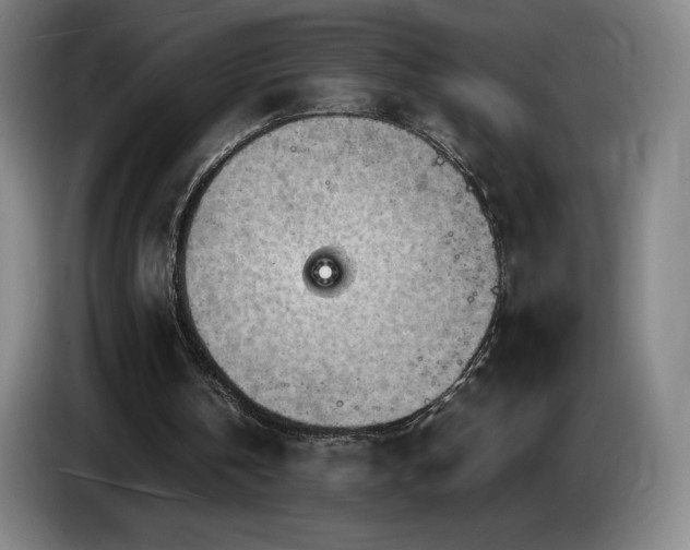 X0000085290146200703091417