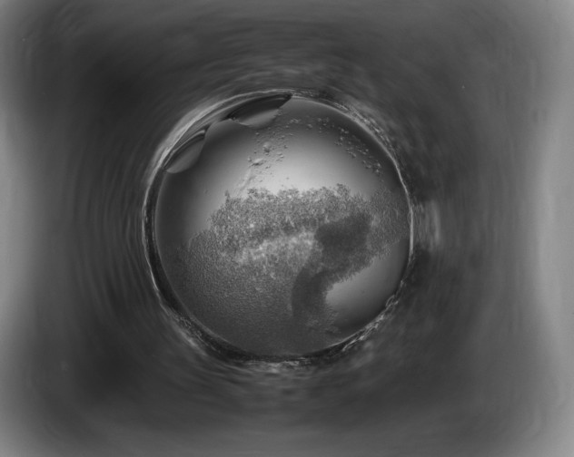 X0000085290147200703091417