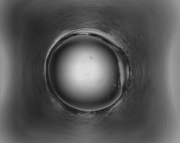 X0000085290148200703091417