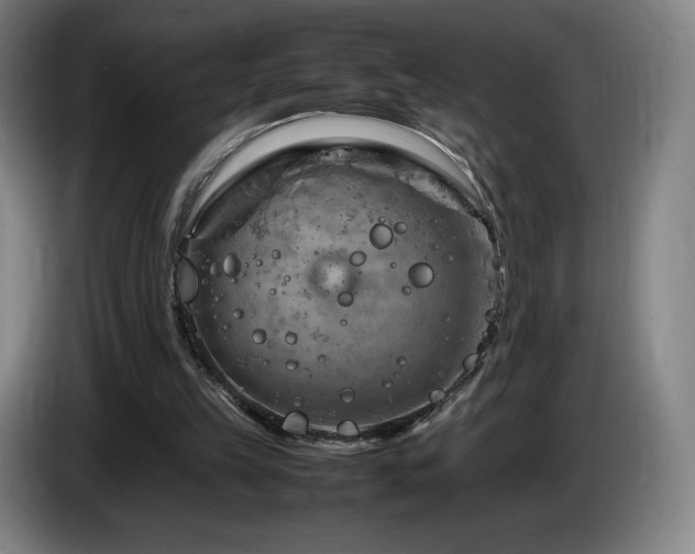 X0000085290149200703091417