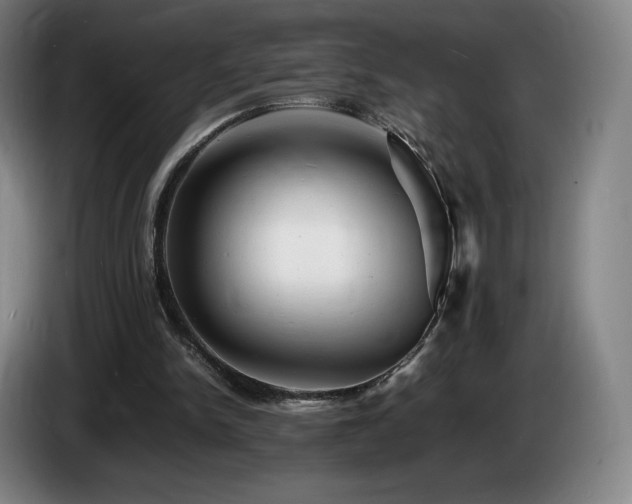 X0000085290150200703091417