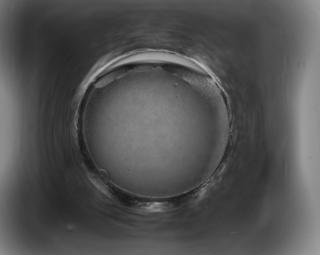 X0000085290151200703091417