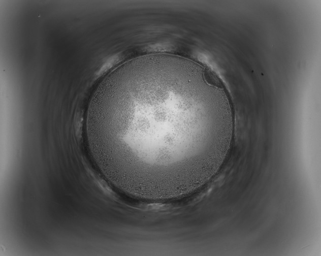 X0000085290153200703091417