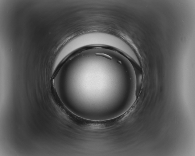 X0000085290154200703091417