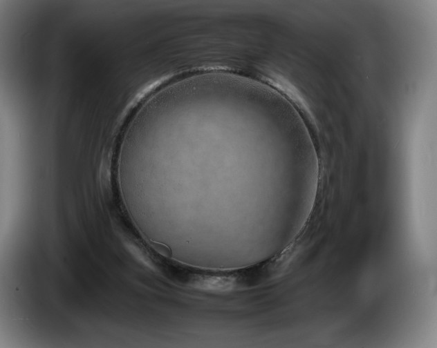 X0000085290155200703091417