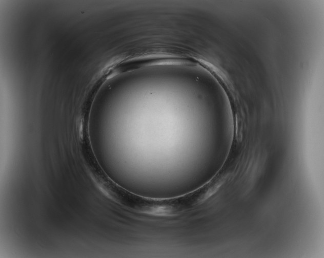 X0000085290157200703091417