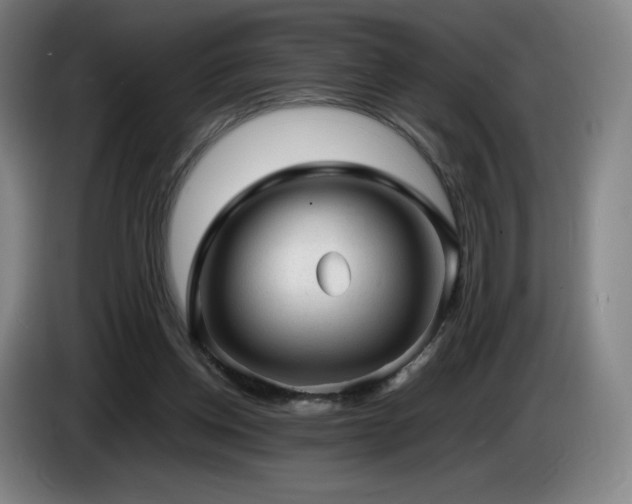 X0000085290158200703091417