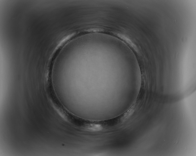 X0000085290159200703091417