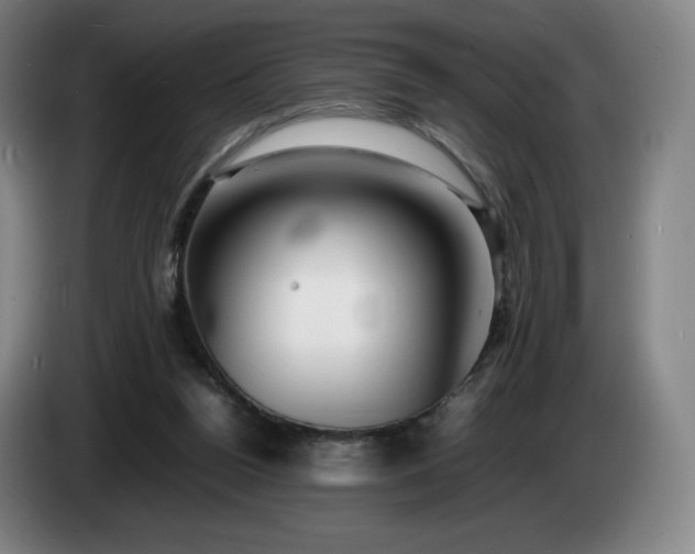 X0000085290160200703091417