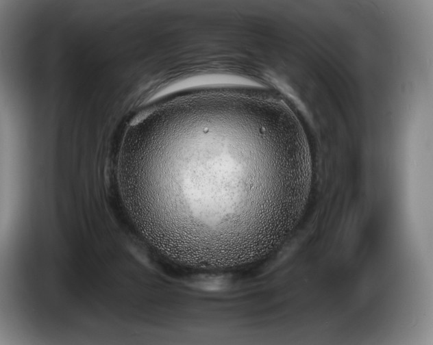 X0000085290161200703091417