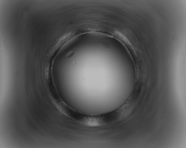 X0000085290163200703091417