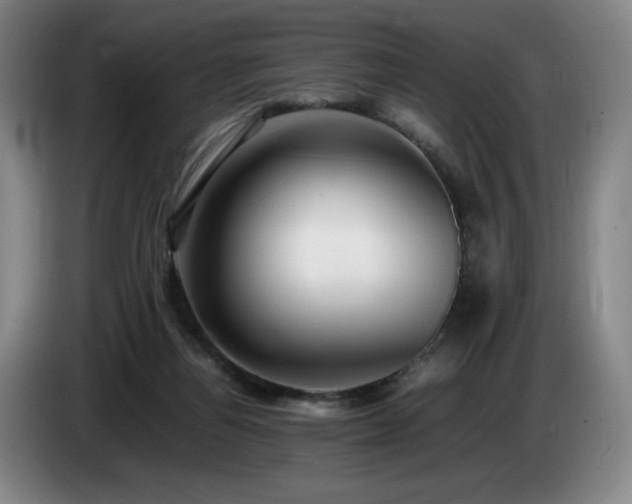 X0000085290164200703091417