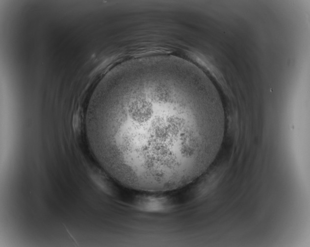 X0000085290165200703091417