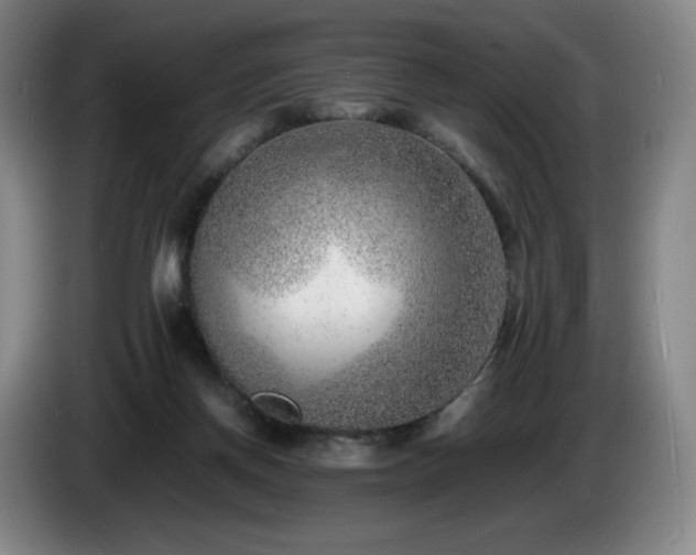 X0000085290166200703091417