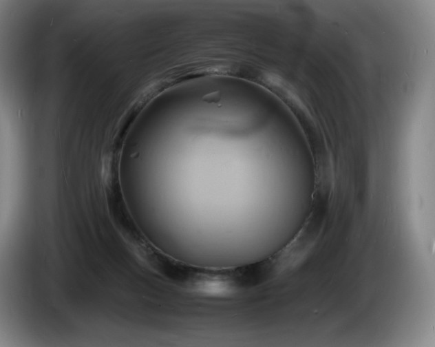 X0000085290167200703091417