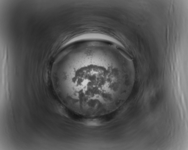 X0000085290169200703091417