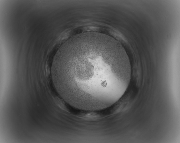 X0000085290173200703091417