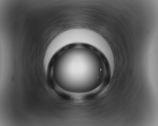 X0000085290176200703091417