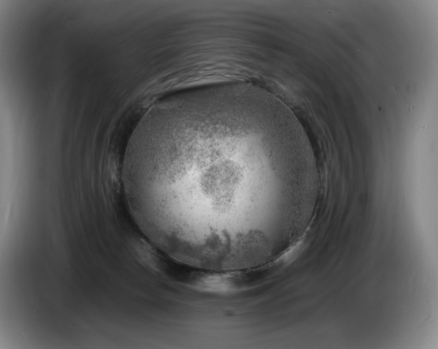 X0000085290178200703091417