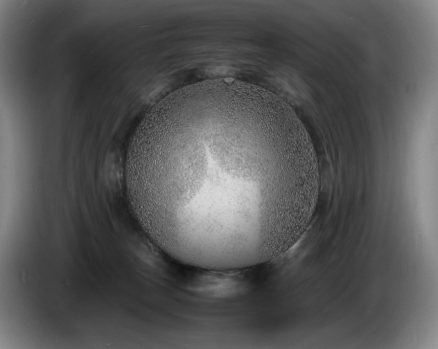 X0000085290179200703091417