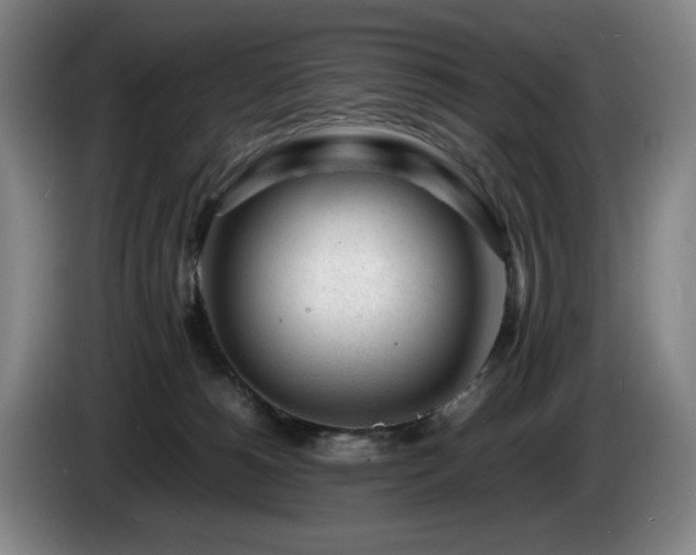 X0000085290180200703091417