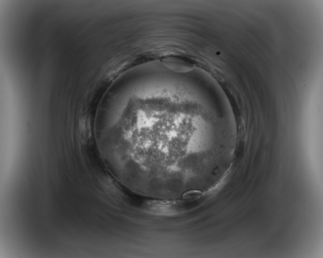 X0000085290182200703091418