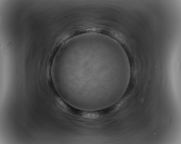 X0000085290185200703091418