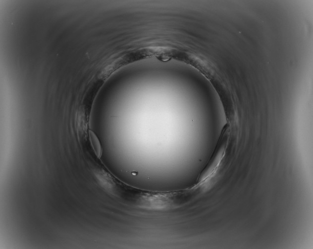 X0000085290186200703091418