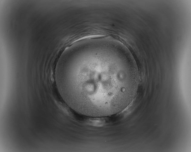 X0000085290187200703091418