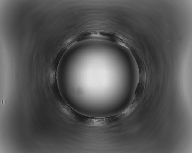 X0000085290188200703091418