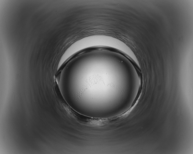 X0000085290190200703091418