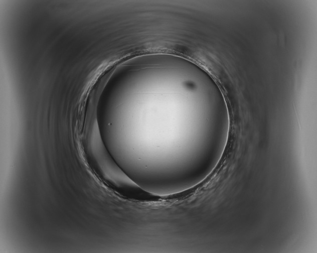 X0000085290193200703091417