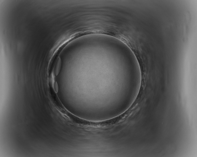 X0000085290194200703091417