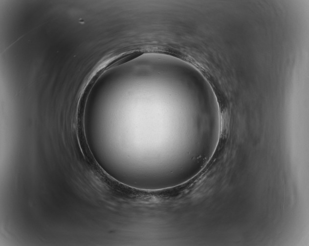 X0000085290195200703091417