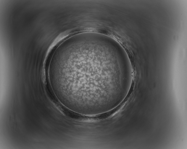 X0000085290198200703091417