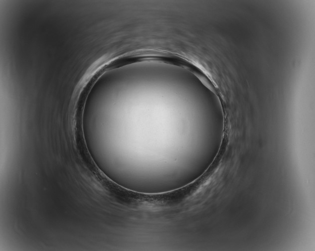 X0000085290199200703091417