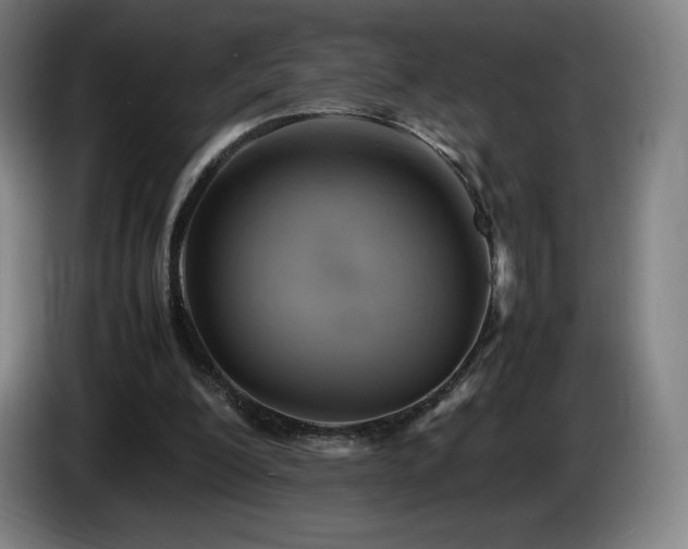 X0000085290200200703091417