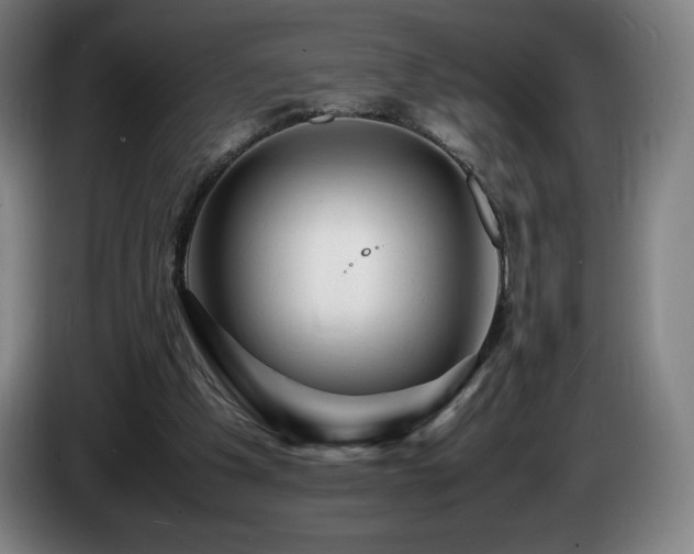 X0000085290201200703091417