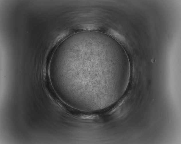 X0000085290202200703091417