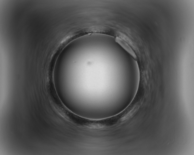 X0000085290203200703091417