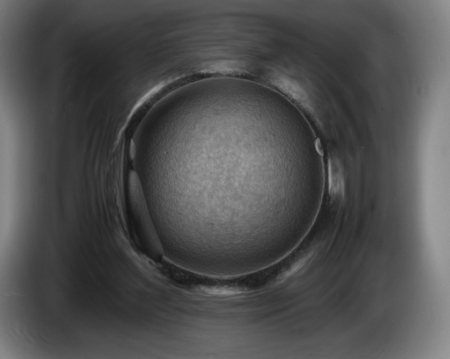 X0000085290204200703091417