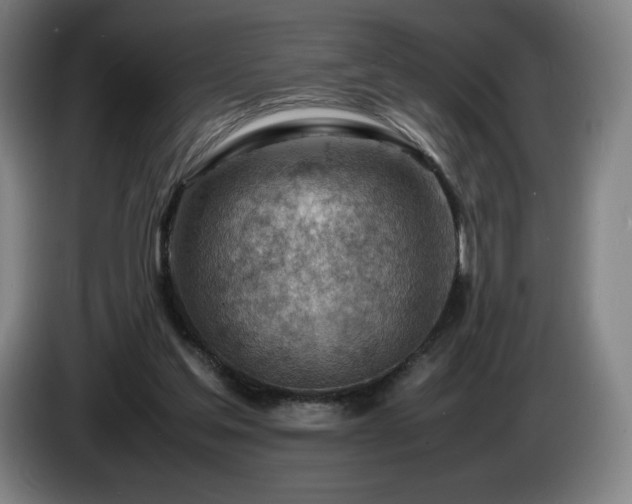 X0000085290205200703091417