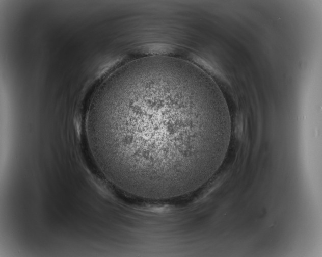 X0000085290206200703091417