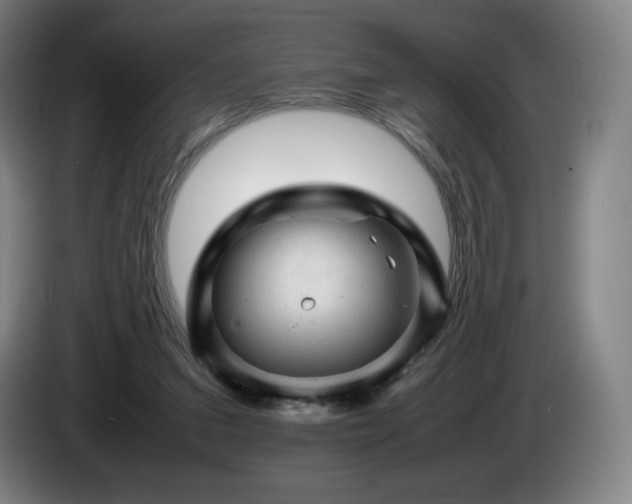 X0000085290207200703091417