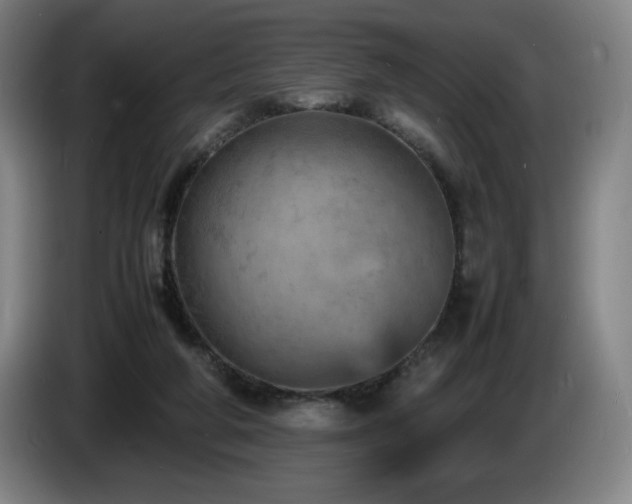 X0000085290210200703091417