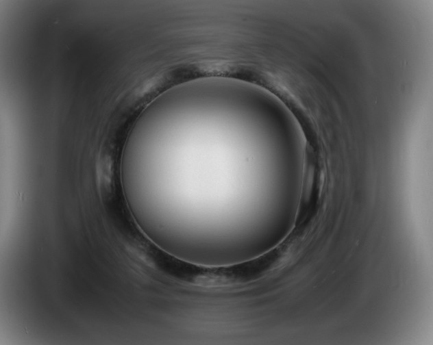 X0000085290211200703091417