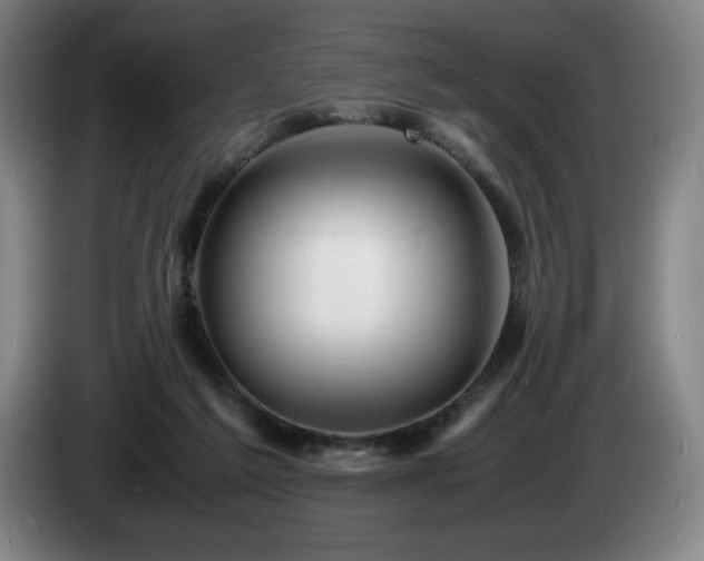 X0000085290213200703091417