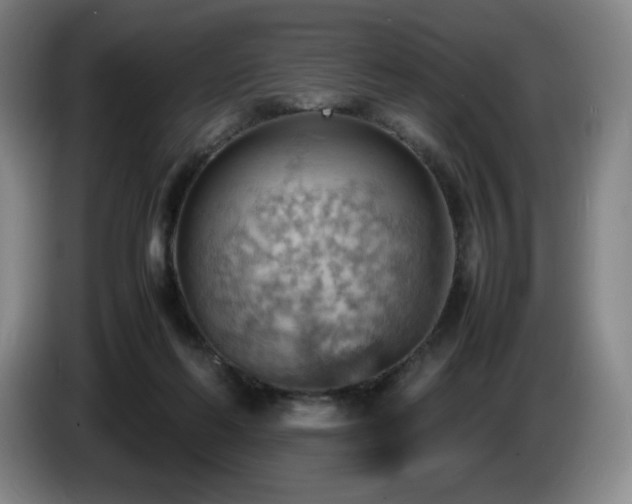 X0000085290214200703091417