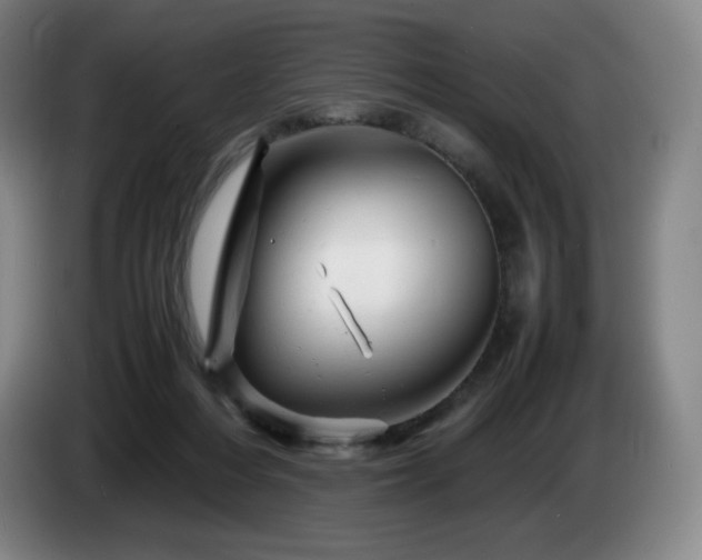 X0000085290216200703091417