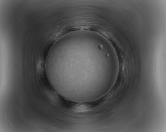 X0000085290218200703091417